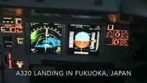 A320 Landing in Fukuoka Cockpit View Crew
