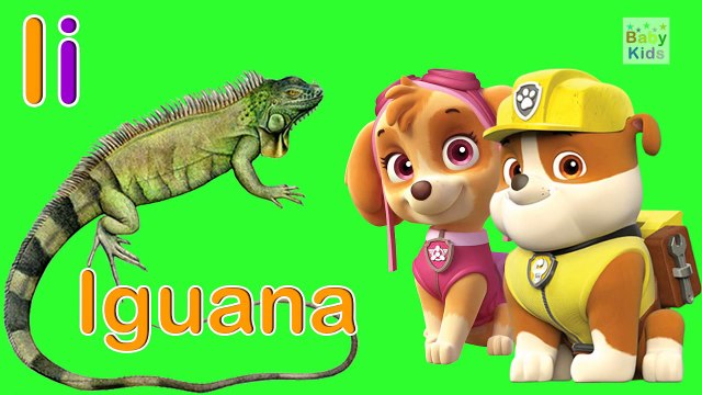 LAS VOCALES en Español con Talking Tom, Paw Patrol, Toy Story y Peppa Pig | BabyKids