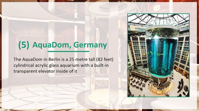 Hybon Elevators and Escalators