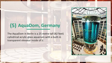 Hybon Elevators and Escalators