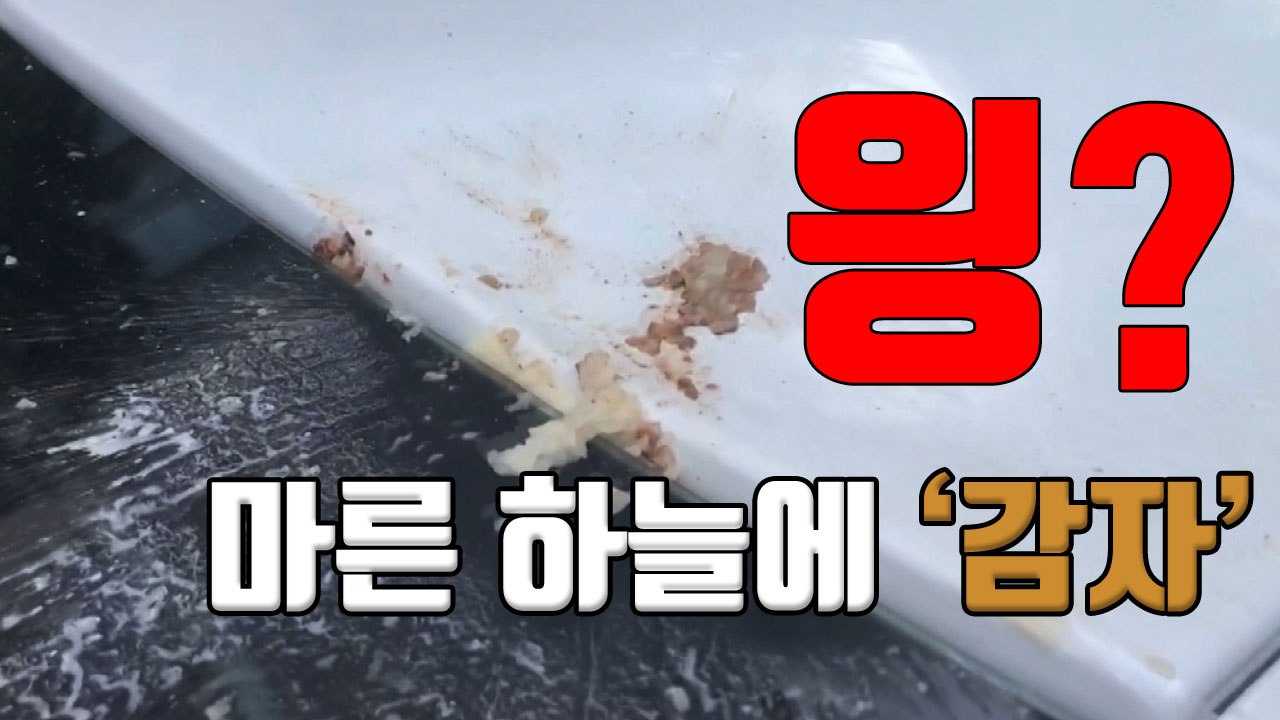 [자막뉴스] 고층 아파트에서 감자 투척...경찰 수사 착수 / YTN