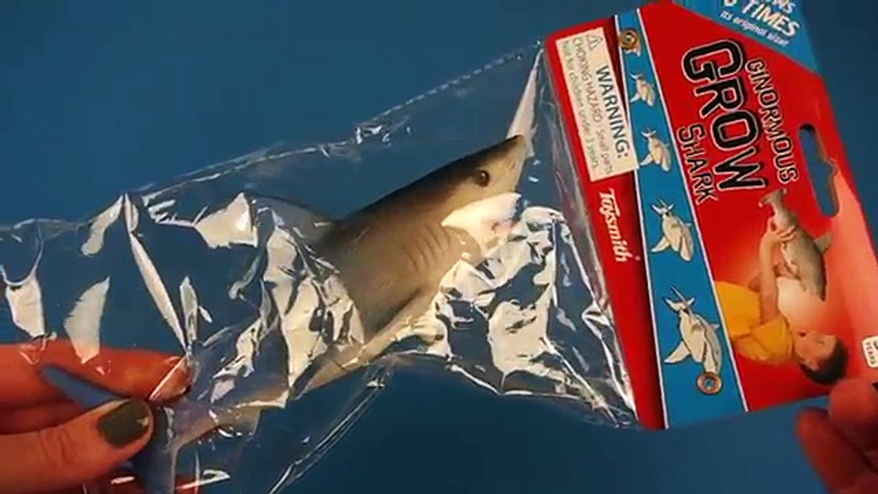Shark Week! Ginormous Grow SHARK