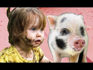 Young Girl Makes Friends With Playful Pig