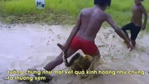 Video 2 cậu nhóc tay không thu phục “trằn tinh” khiến người xem phải thót tim