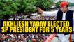 Akhilesh Yadav re-elected as Samajwadi Party's national president for a five-year term | Oneindia News
