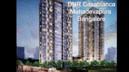 DNR Casablanca hoodi