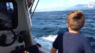 Incredibly Well-timed Selfie With Breaching Whale Photobomb