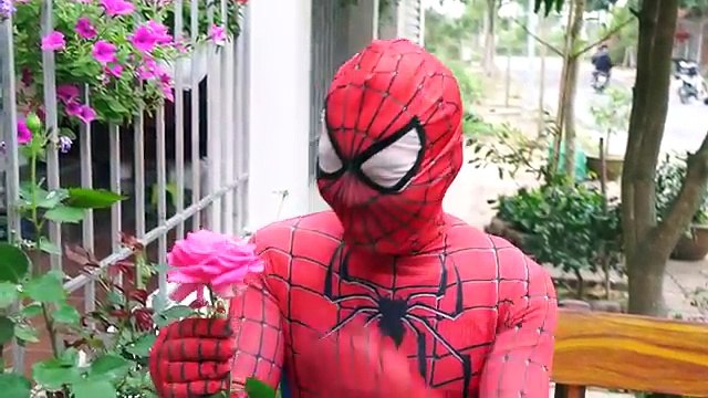 Superman Iron Hand Kung fu Joker Guns Spiderman Police arrest Venom kidnap Baby Elsa Superhero funny