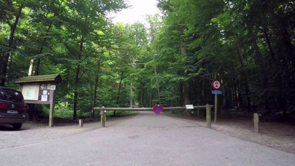 Balade en Ahooga dans La Forêt de Soignes