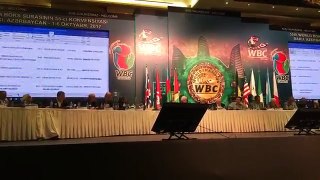WBC 140 mandatory fight-_jidP4dQdMc