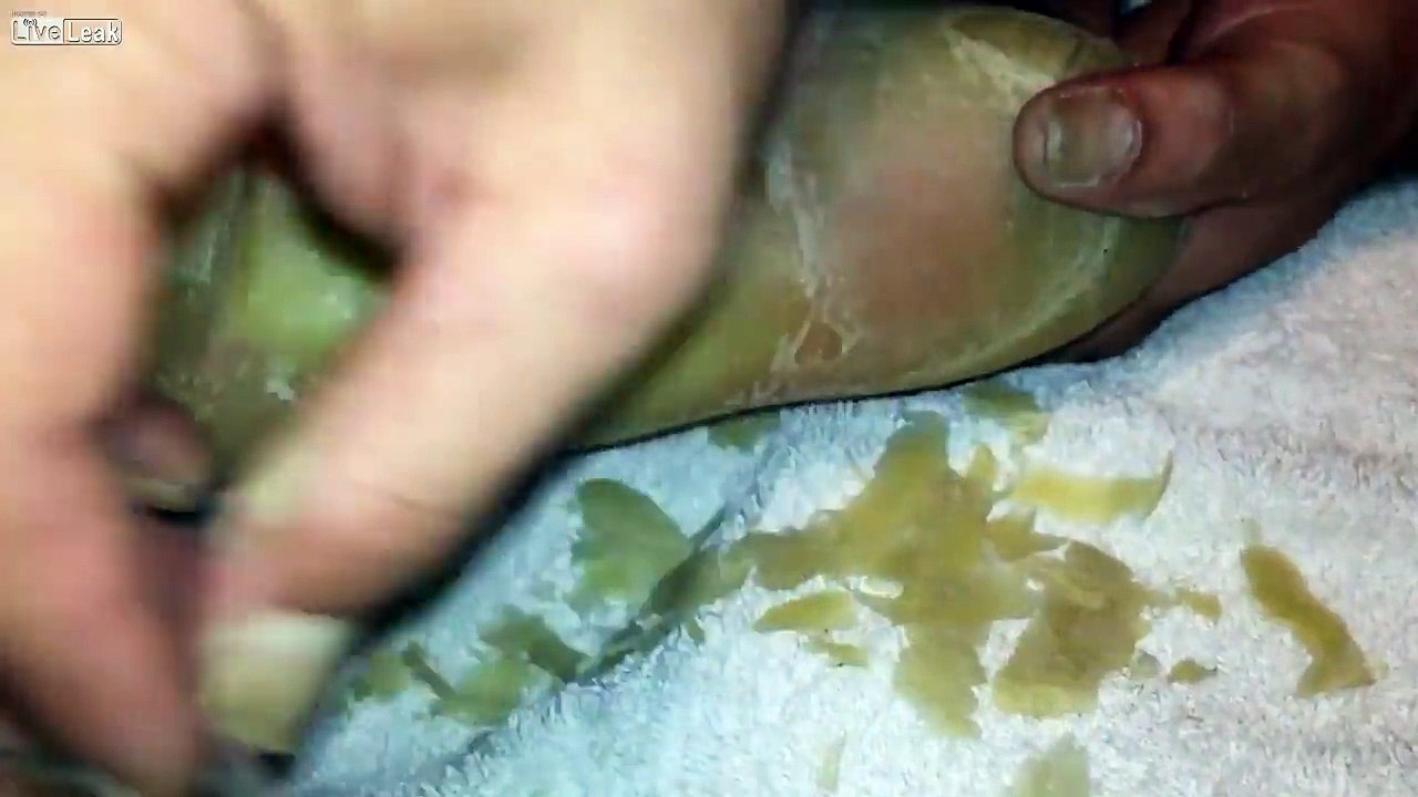 Parmesan ? Juste de la corne aux pieds coupée au cutter...