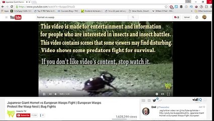 GIANT HORNET VS 5 WASPS GONE WRONG!