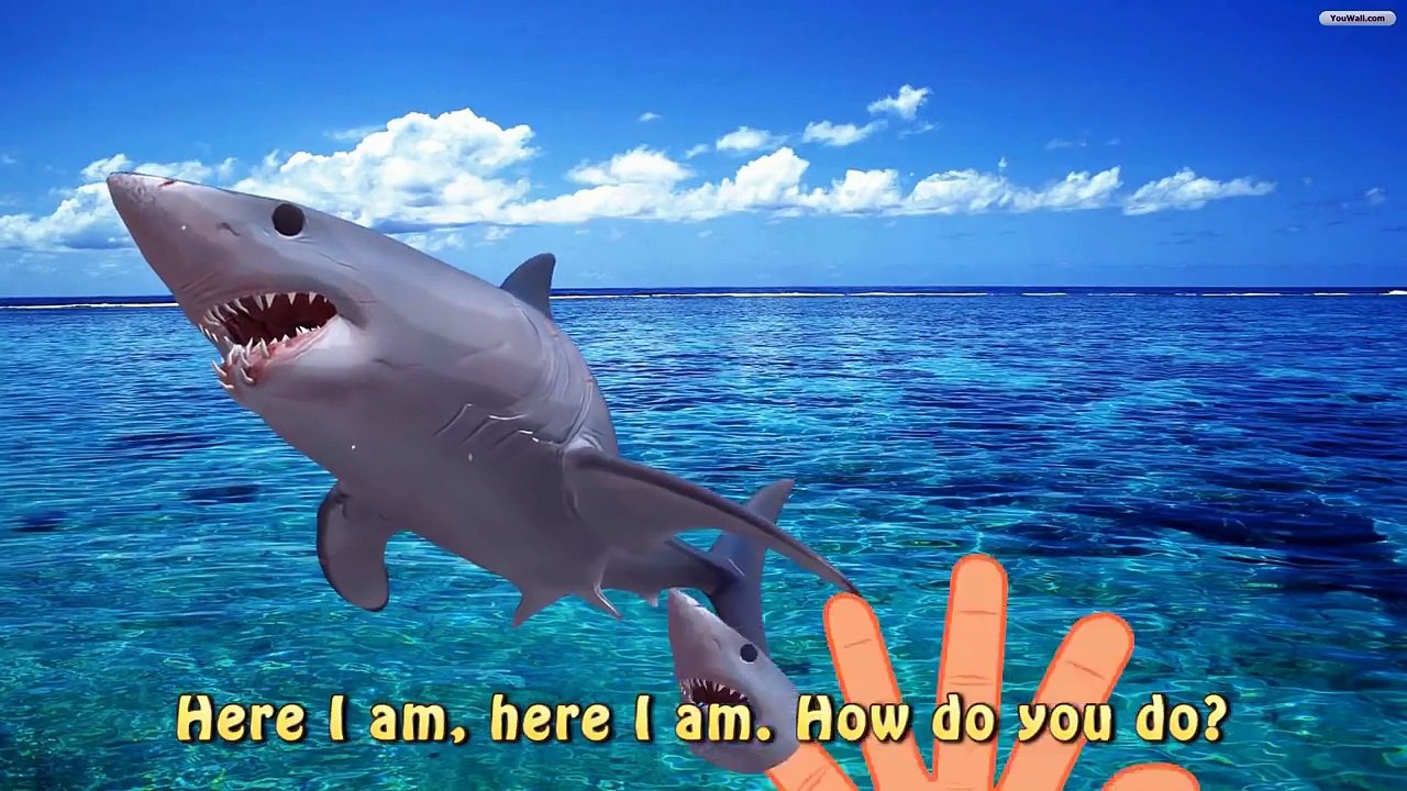 Poo Poo VS Shark Farting Finger Family Sea Animals Funny Rymes For Children