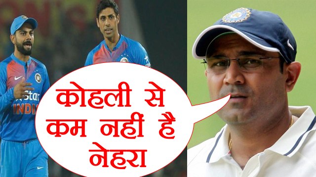 India vs Australia T20: Virender Sehwag says Ashish Nehra is as fit as Virat Kohli | वनइंडिया हिंदी