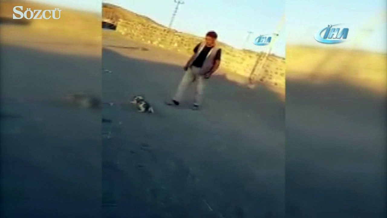 Yavru köpeğe tekme atan adam sosyal medyayı ayağa kaldırdı