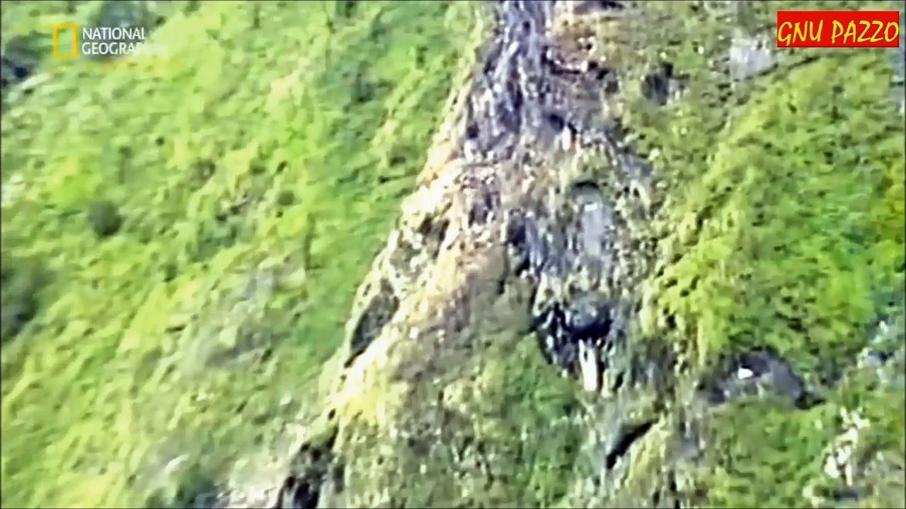 Indagini ad Alta Quota - L'Aereo Perduto [Volo Thai Airways 311]