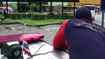 Buffalo running down the street after escaping from race ground