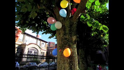 Je suis dans un arbre