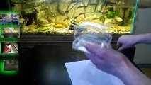 Система слива воды из аквариума своими руками.