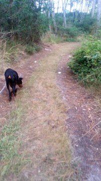 le tu laisses?...c'est bien tu laisses!! est bien utile parfois!