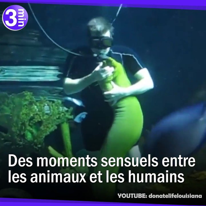 Des moments de tendresse entre des hommes et des animaux