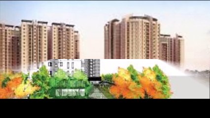 DNR Casablanca Location