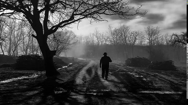 The Dirty Mojo Blues Band - Papa Bear