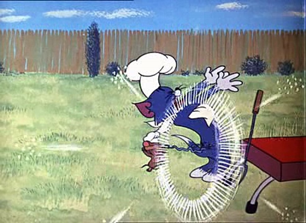 Tom & Jerry 04 A Rostonsult