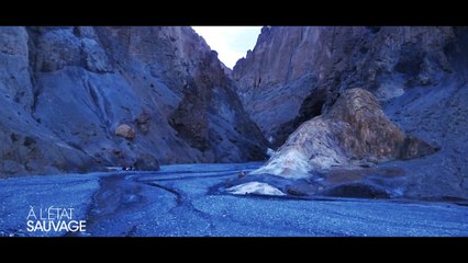 Les premières images de "A l'état sauvage" avec Shym