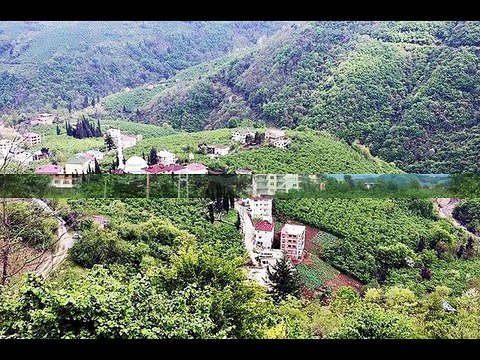 Akçaabat Fındıklı Köyü