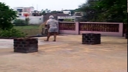 क्या  आपने इतने सारे तोते एक साथ देखे है कभी  ? lots of parrot..