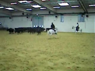 equidud montpellier 2007 /3