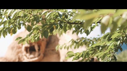 Japon : Festival d'art Wara 2017