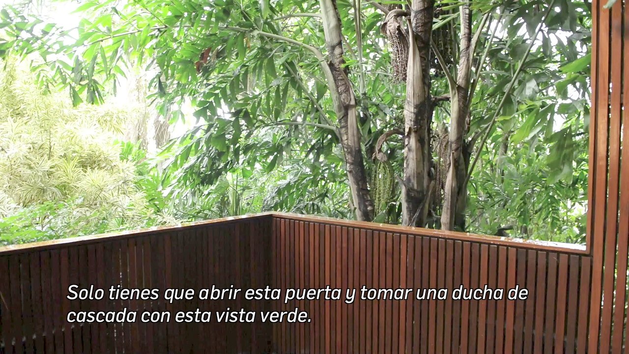 Artistas prefieren lujosas mansiones en Brasil para pasar vacaciones