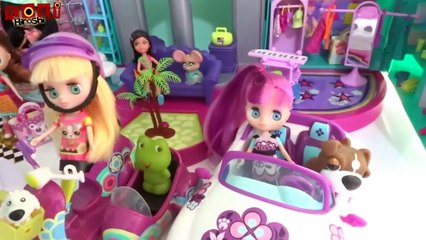 Organização das minhas casinhas