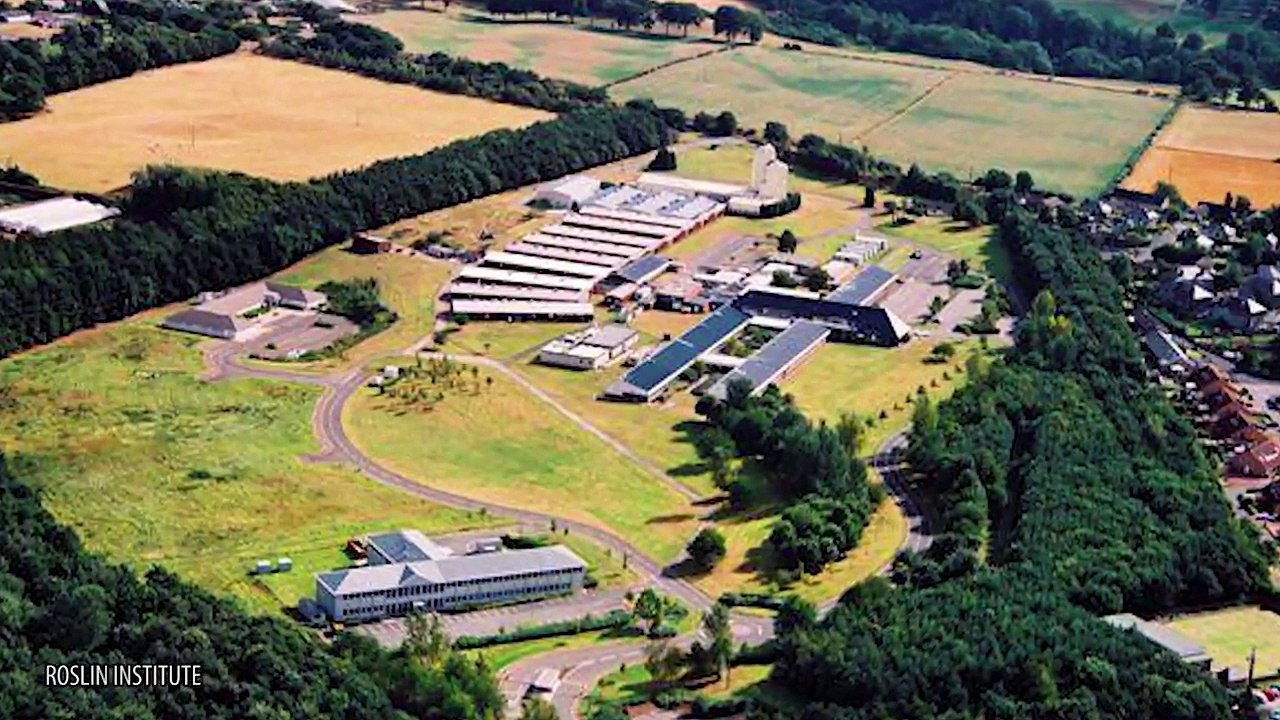 Strange Creatures Created by Scientists