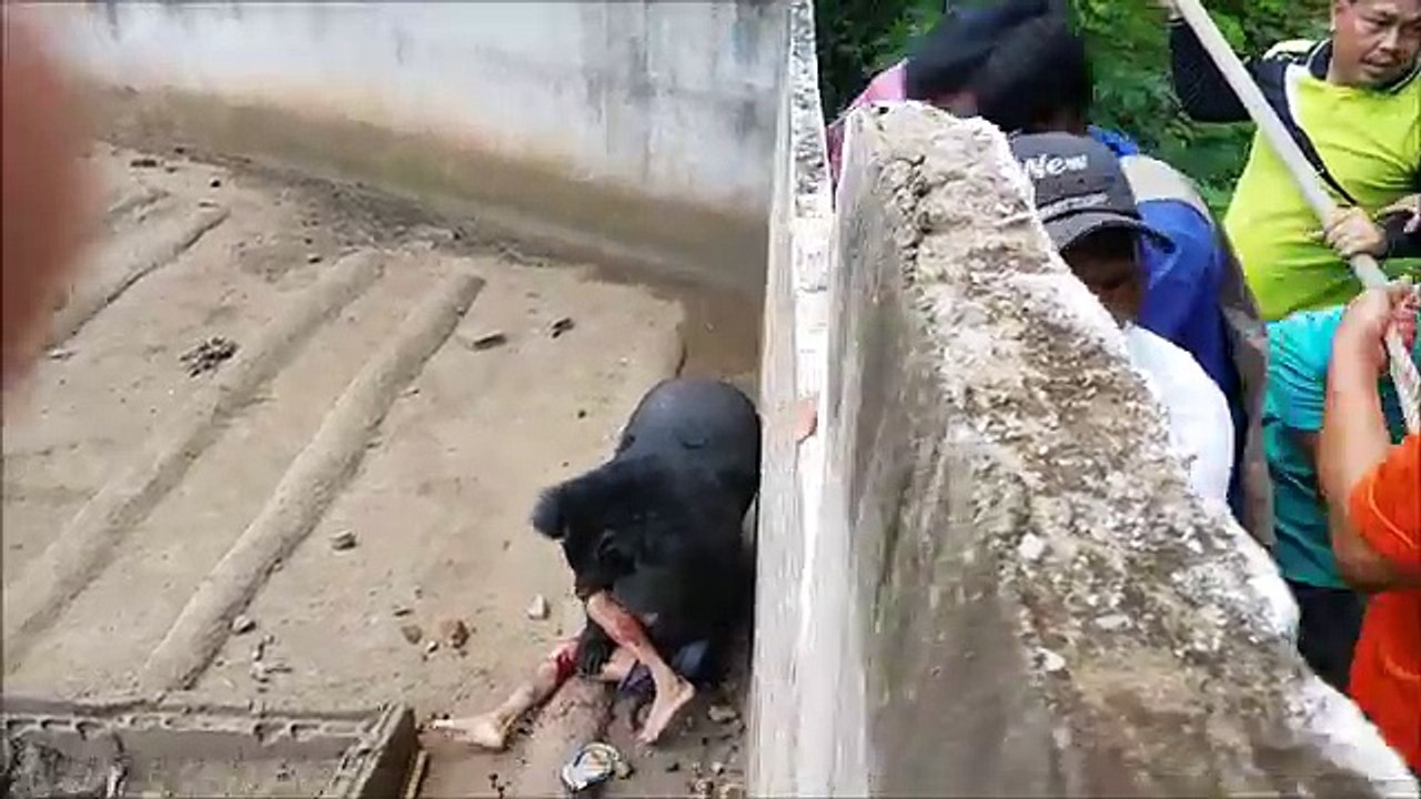 Bear attack in thailand zoo +18