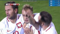 Kamil Grosicki GOAL - Armenia 0-1 Poland 05.10.2017