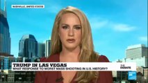 Scottie Nell Hughes on gun control: 