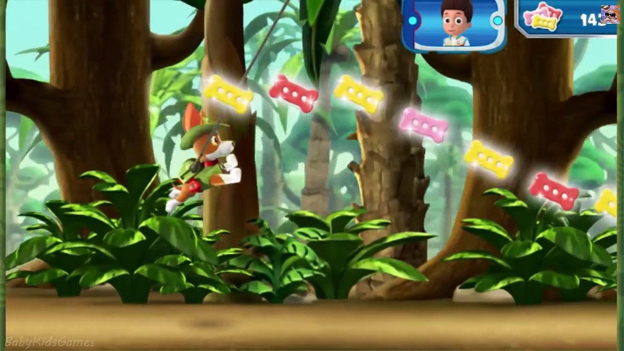 Psi Patrol na ratunek - Misja w dżungli - Paw Patrol Trackers Jungle Rescue