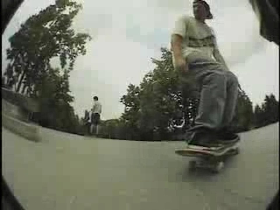 Brian Wenning Trick Tip_ Switch Backside Tailslide