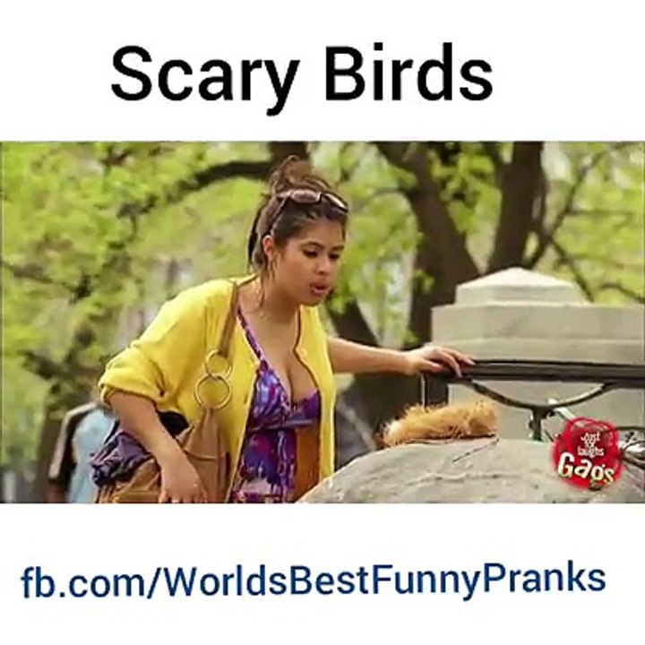 Must watching funny entertainment prank
