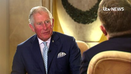 We have completely mucked up the whole of our environment