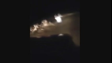 Bu garip yaratık nedir ? Paranormal Olaylar