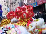 NYC Chinatown New York Chinese New Year Lion Dance Drumming new