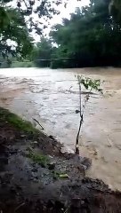 Barrio Puente de Hamacas