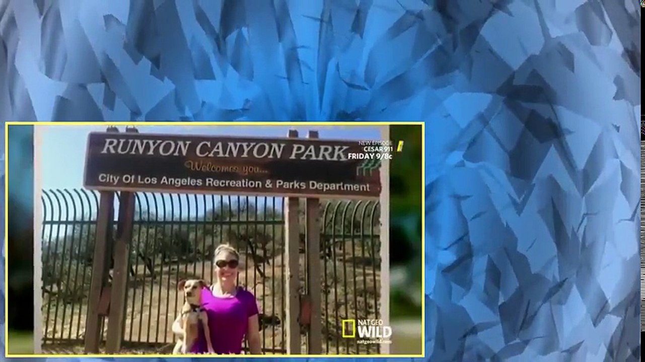 Cesar 911 S02E11 Holly's Terror