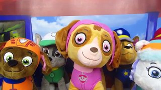 Patrulla canina español y la noche de pedos, mocos y juegos con la cachorro Skye Vídeos Paw Patrol