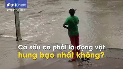 Nữ 'cao thủ' cầm dép tông đuổi cá sấu bơi trối chết