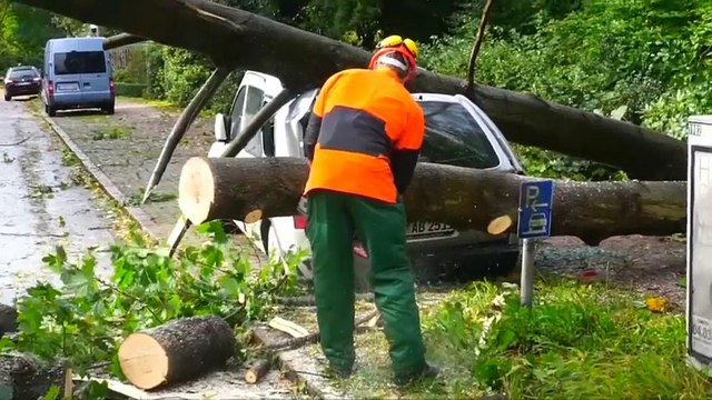 Σφοδρή κακοκαιρία με νεκρούς στη Γερμανία